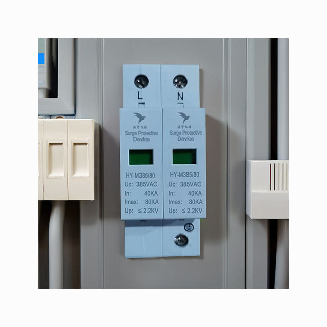 Single-Phase 2P 80KA T2 Type Surge Protector High Performance SPD Surge Protection Device - Image 3